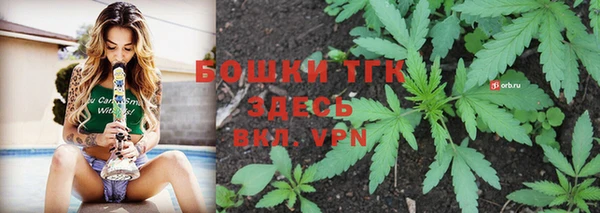 ГАЛЛЮЦИНОГЕННЫЕ ГРИБЫ Верхний Тагил